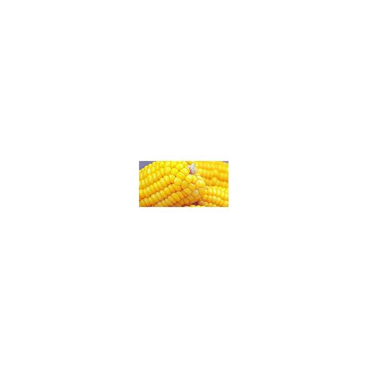 Деликатесная F1