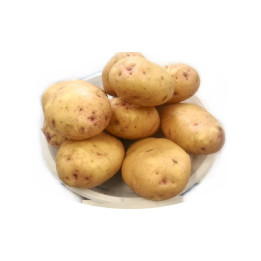 УТРО