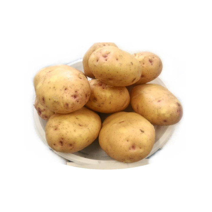 УТРО