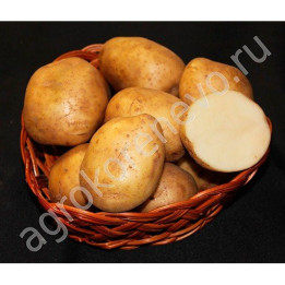 НИКУЛИНСКИЙ