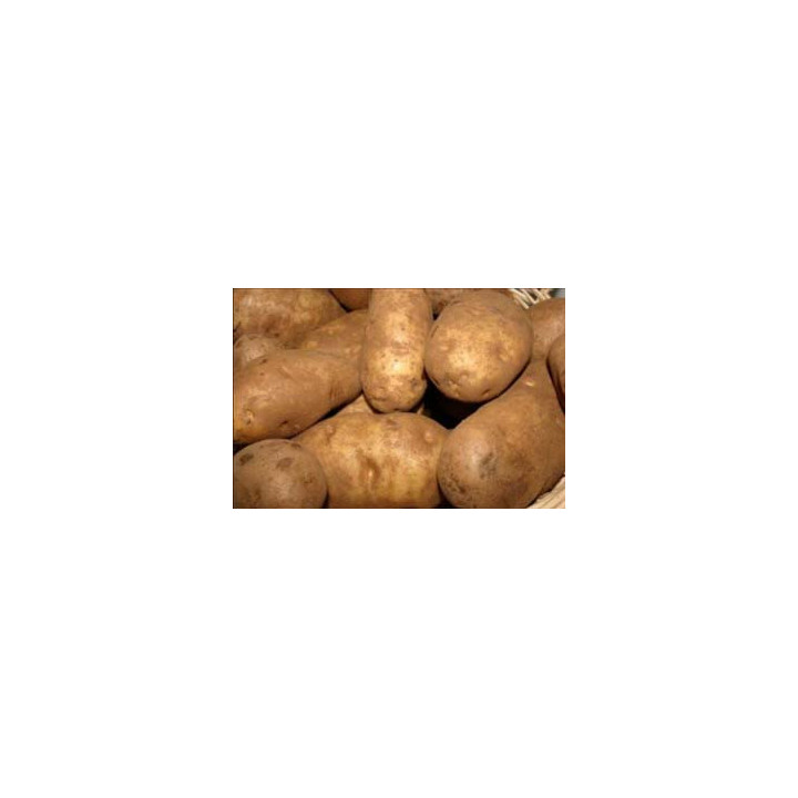 БЛАКИТ