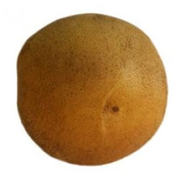 ДУБРАВА