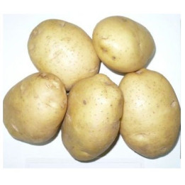 ЮГАНА