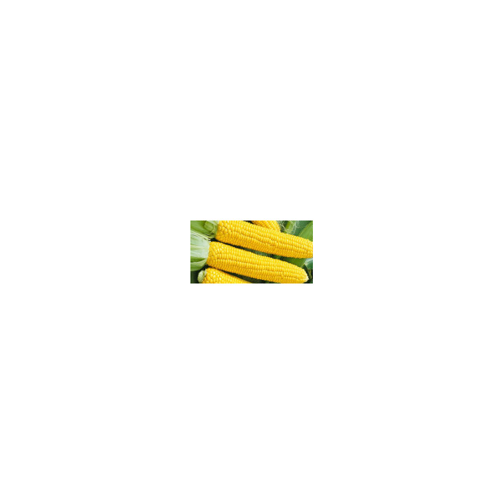 Конкурент F1