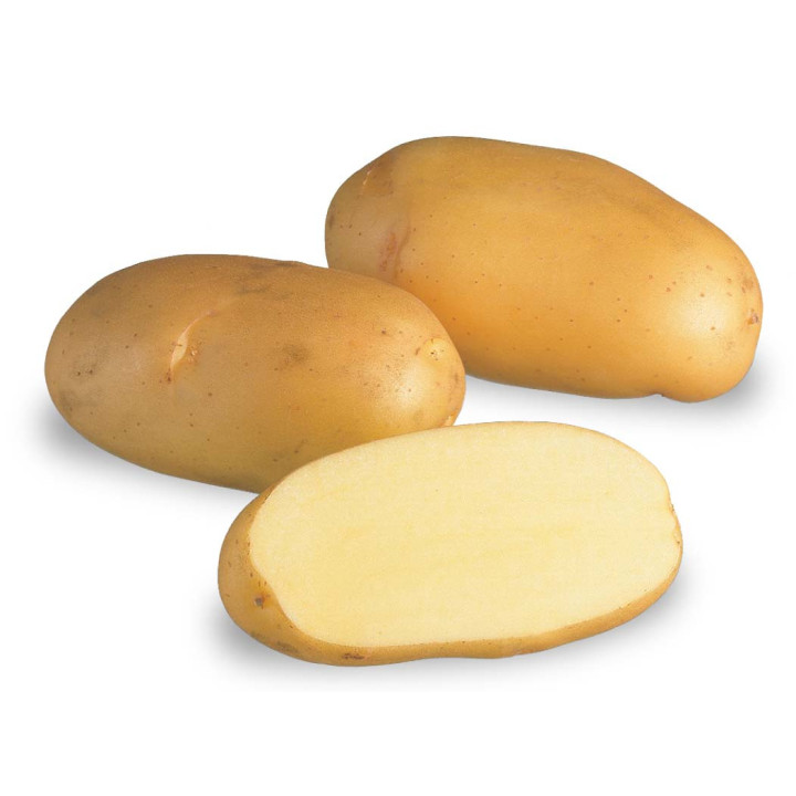 ФАМБО