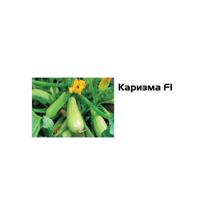 Каризма F1 / Carisma F1
