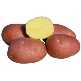 КУЗНЕЧАНКА