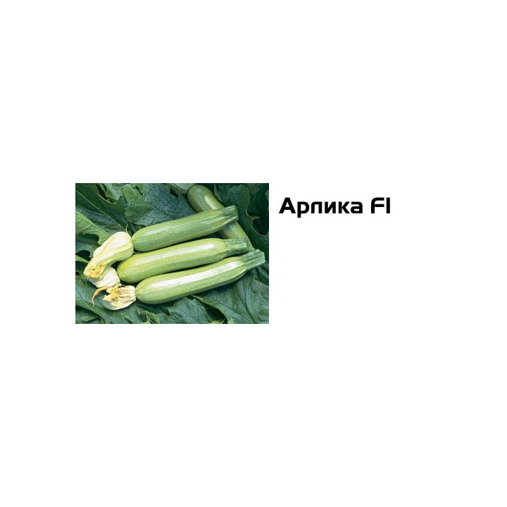 Арлика F1 / Arlika F1