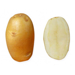 КЕТСКИЙ