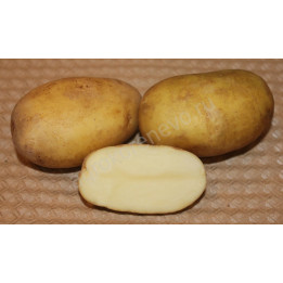 ЮБИЛЕЙ ЖУКОВА