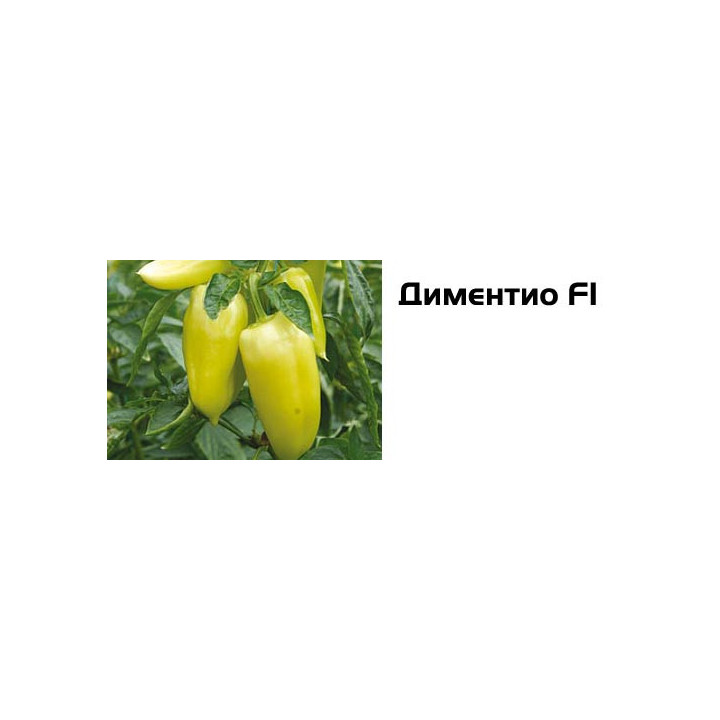 Диментио F1 / Dimentio F1