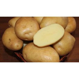 ЖИГУЛЕВСКИЙ