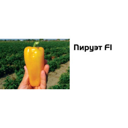 Пируэт F1 /  Pirouet F1