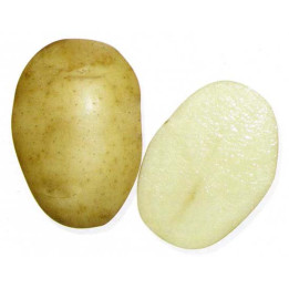 УДАЛЕЦ
