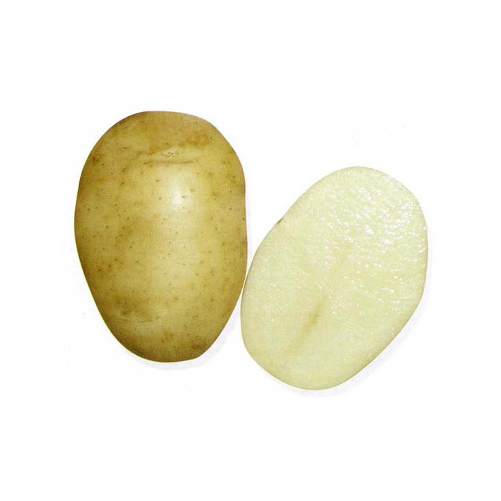 УДАЛЕЦ