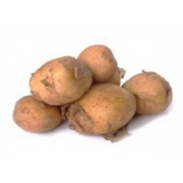 ДАРКОВИЧСКИЙ