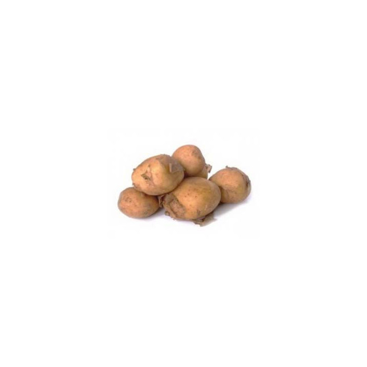 ДАРКОВИЧСКИЙ