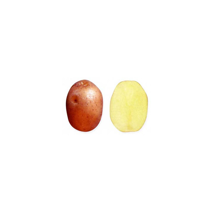 ЯКУТЯНКА