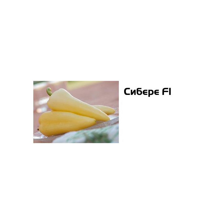 Сибере F1