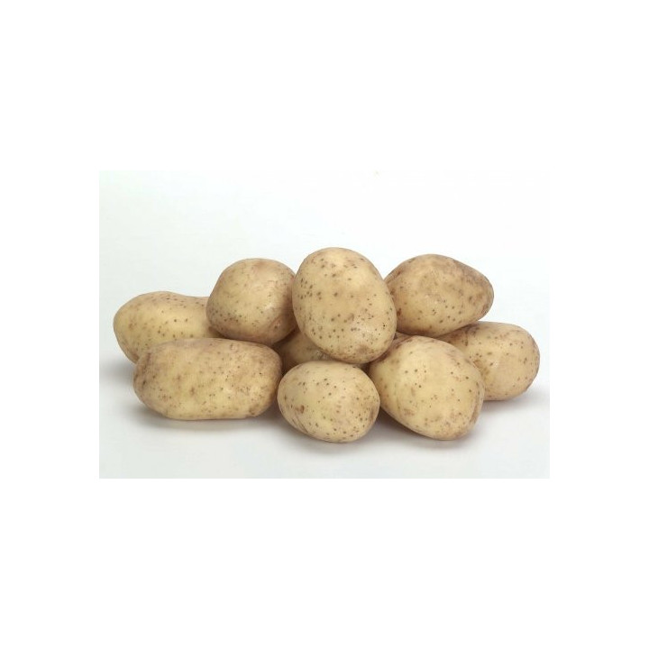 ЛЕДИ КЛЭР