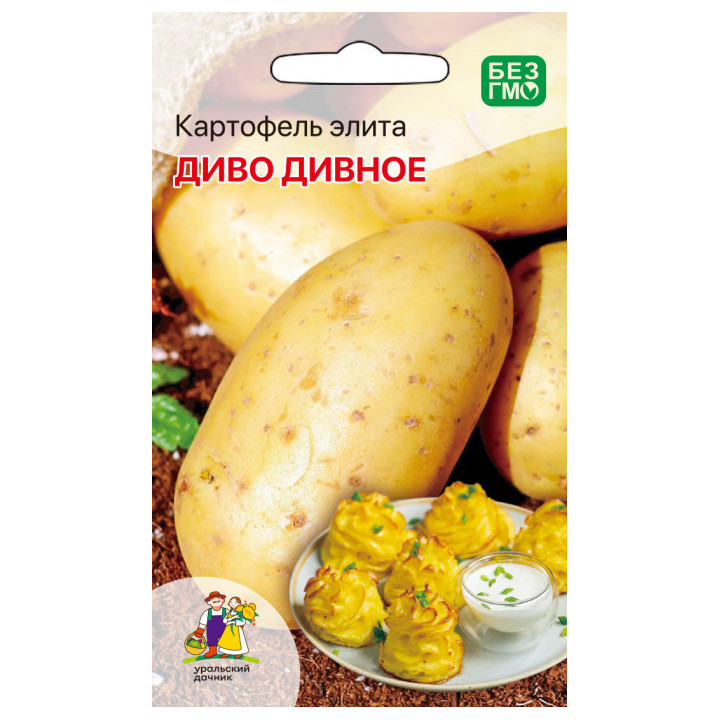 ДИВО