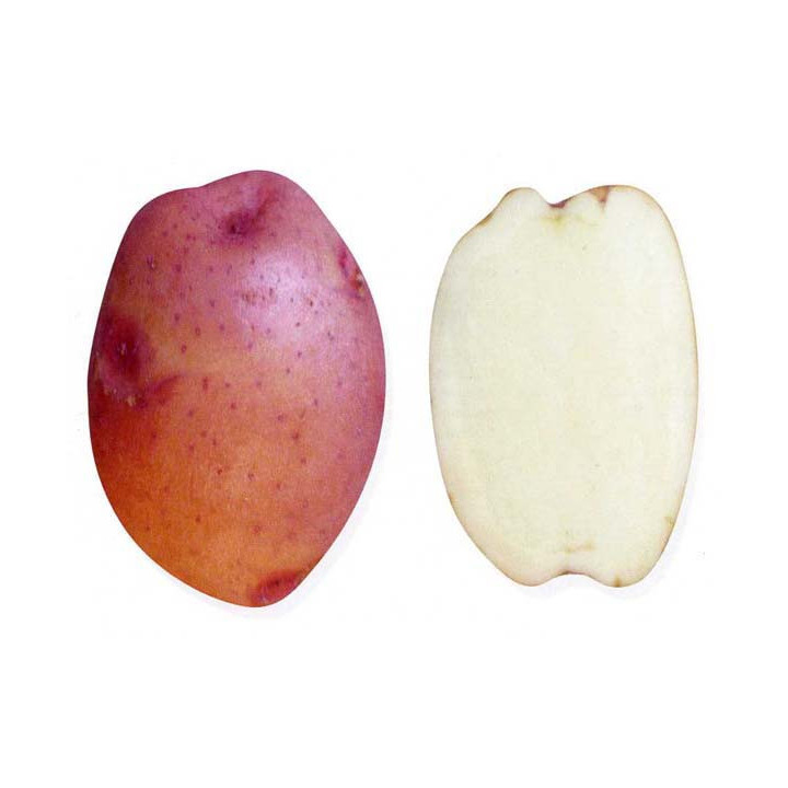 НАРТ 1