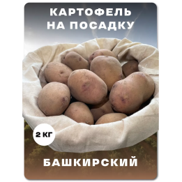БАШКИРСКИЙ