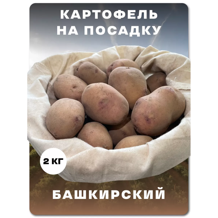 БАШКИРСКИЙ