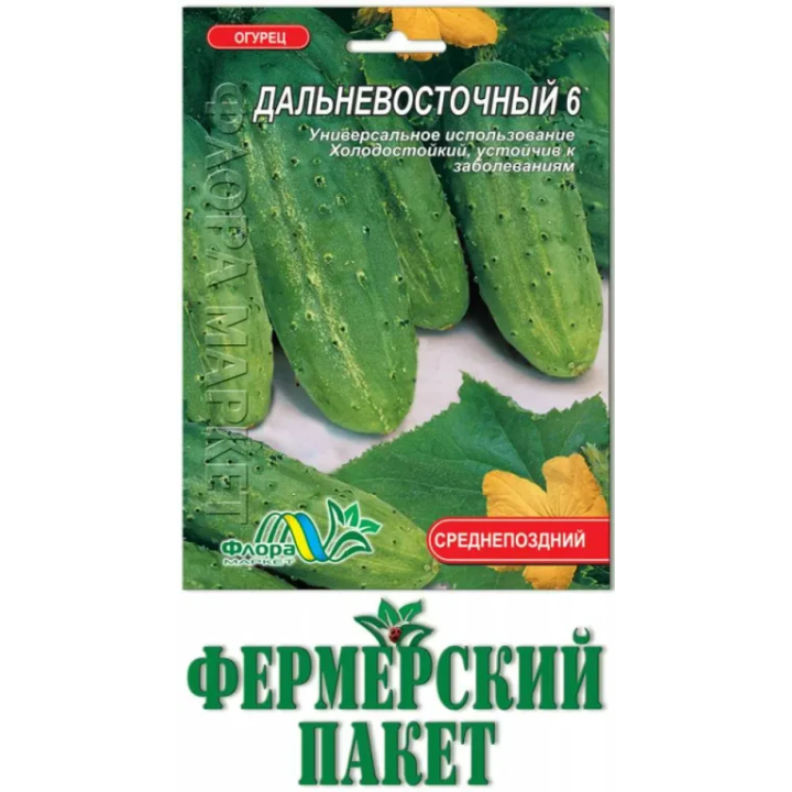 ДАЛЬНЕВОСТОЧНЫЙ 6