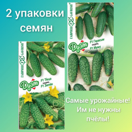 ПУЛЬКА