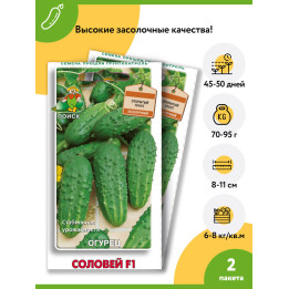 ЛП-2-12-1