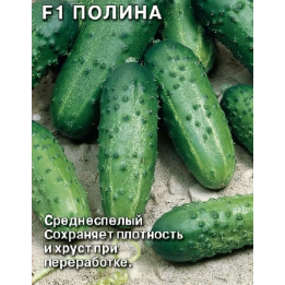ПАУЛИНА