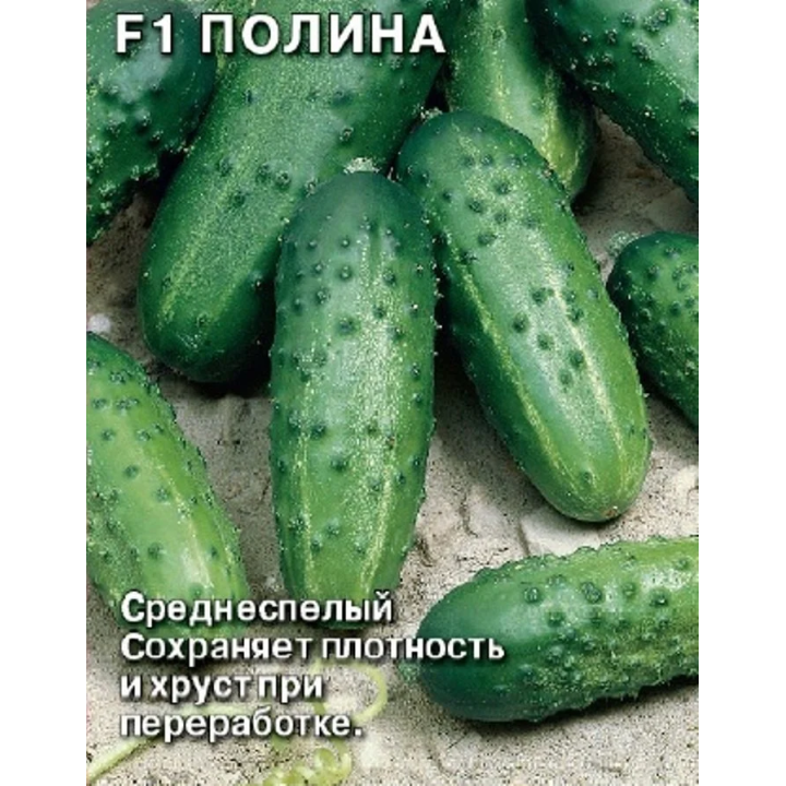 ПАУЛИНА
