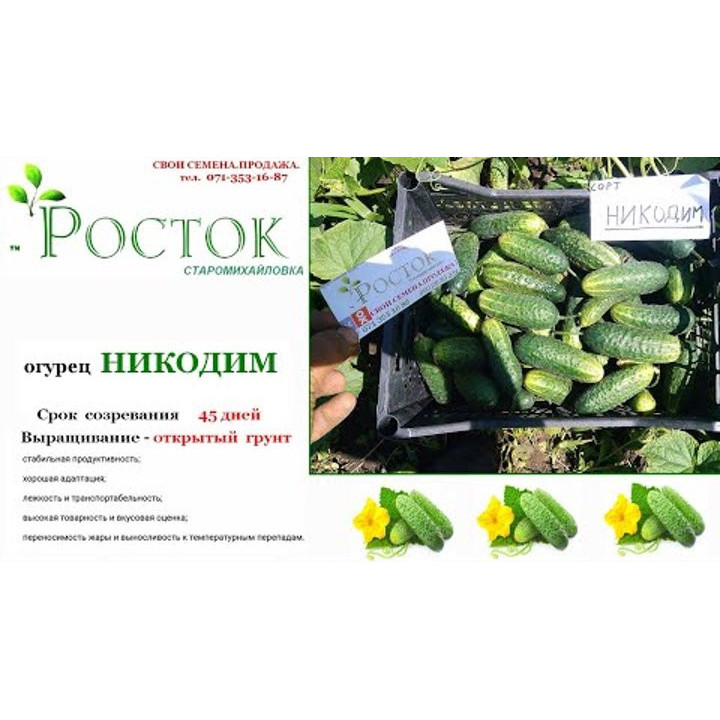 НИКОДИМ