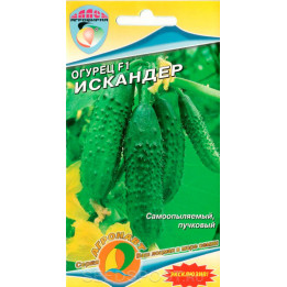 ИСКАНДЕР