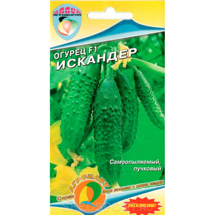ИСКАНДЕР