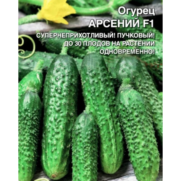 АРСЕНИЙ