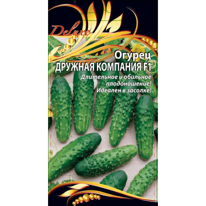 ДРУЖНАЯ КОМПАНИЯ