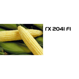 ГХ 2041 F1 / GH 2041 F1