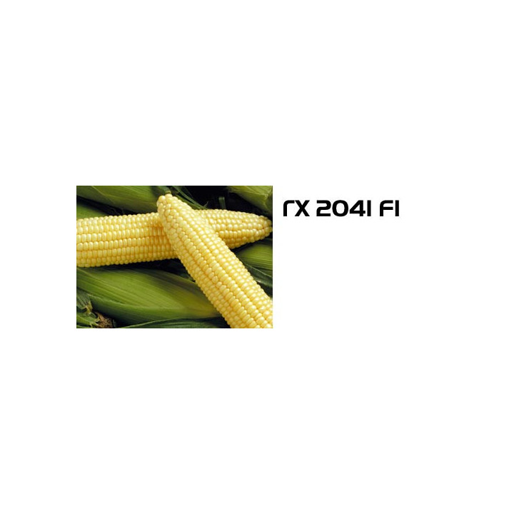 ГХ 2041 F1 / GH 2041 F1