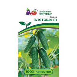 ПЛАТОША