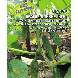 БРАТЬЯ-БЛИЗНЕЦЫ
