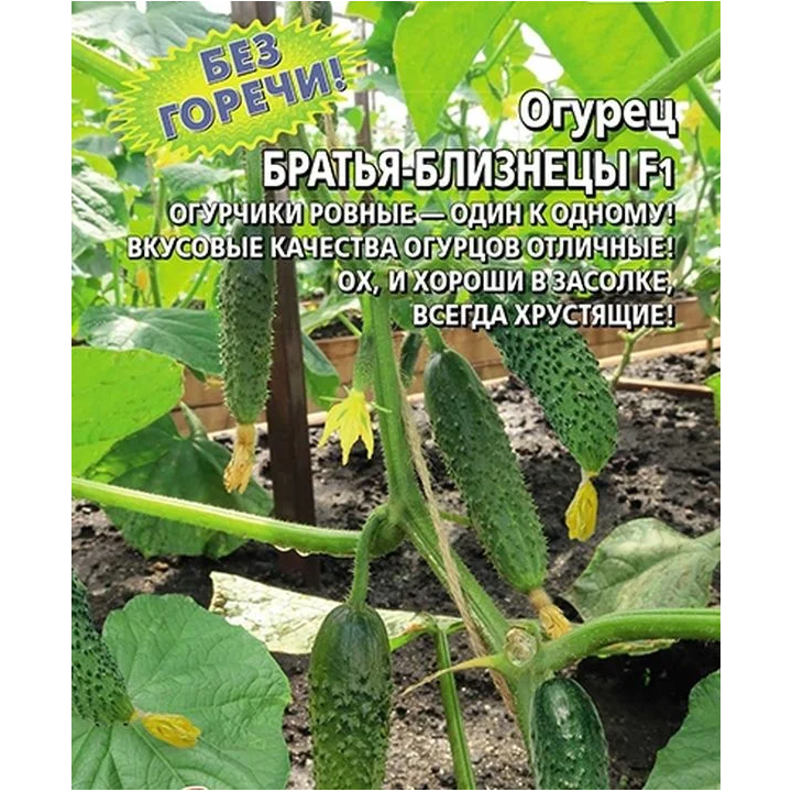 БРАТЬЯ-БЛИЗНЕЦЫ
