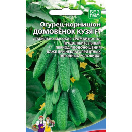 ДОМОВЁНОК КУЗЯ
