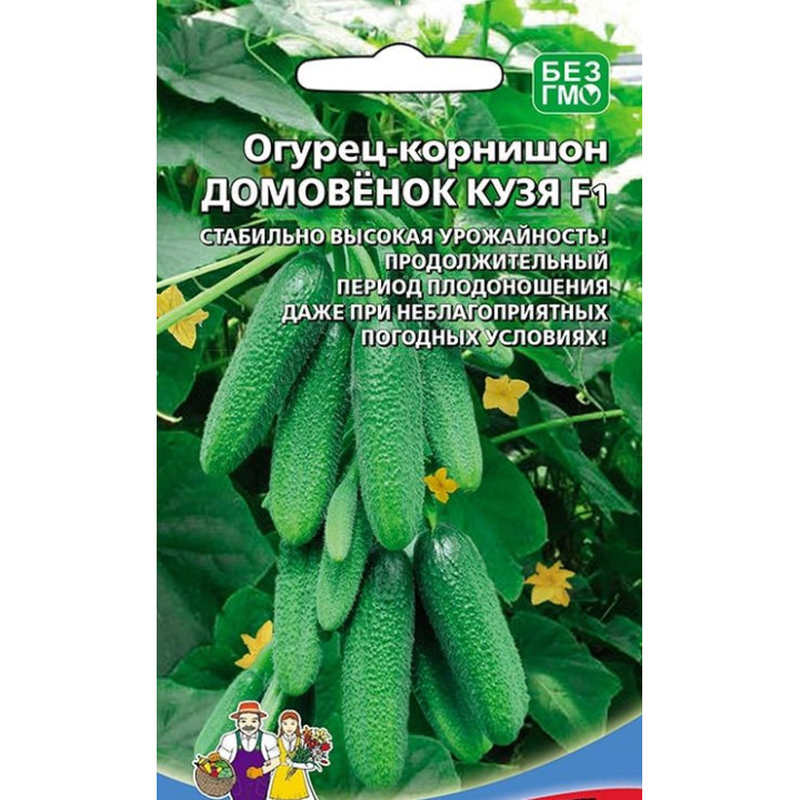 ДОМОВЁНОК КУЗЯ