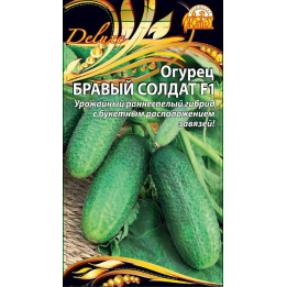 БРАВЫЙ СОЛДАТ