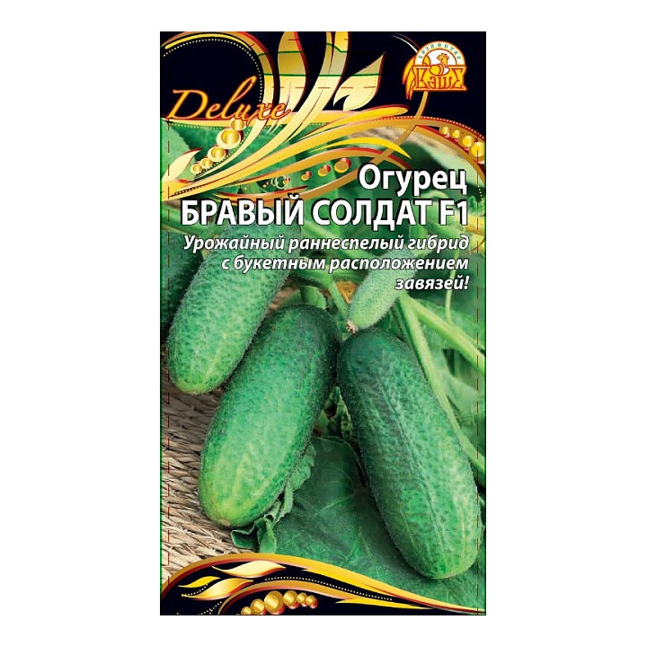 БРАВЫЙ СОЛДАТ