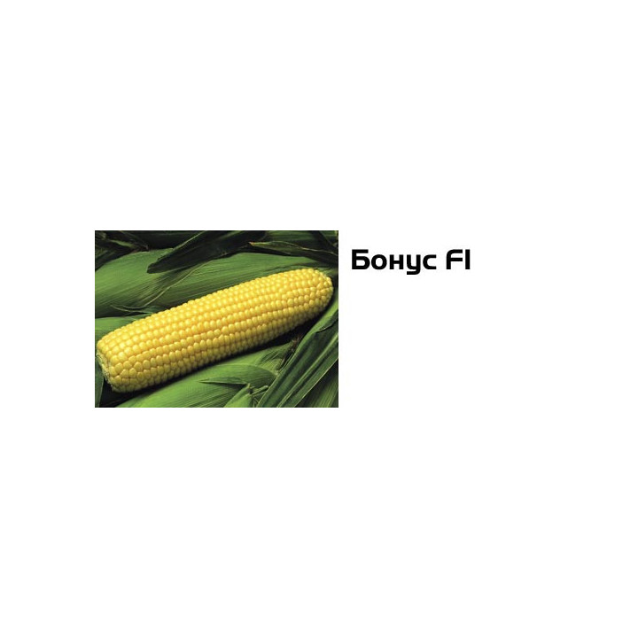 Бонус F1 / Bonus F1