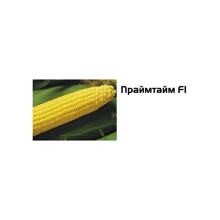 Праймтайм F1