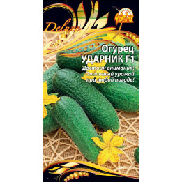 УДАРНИК